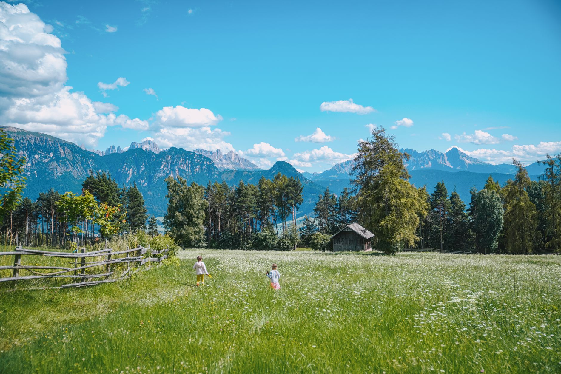 Kinder spielen auf der Bergwiese