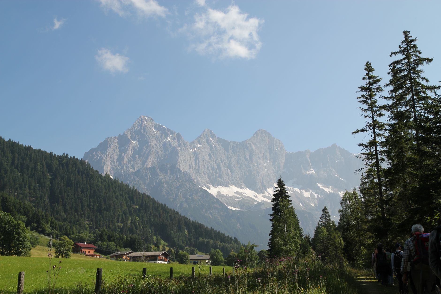 Grüne Almwiesen und Berge unter blauem Himmel